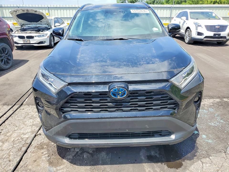 59153636 :رقم المزاد ، 2T3RWRFV7KW034884 vin ، 2019 Toyota Rav4 Hybrid مزاد بيع
