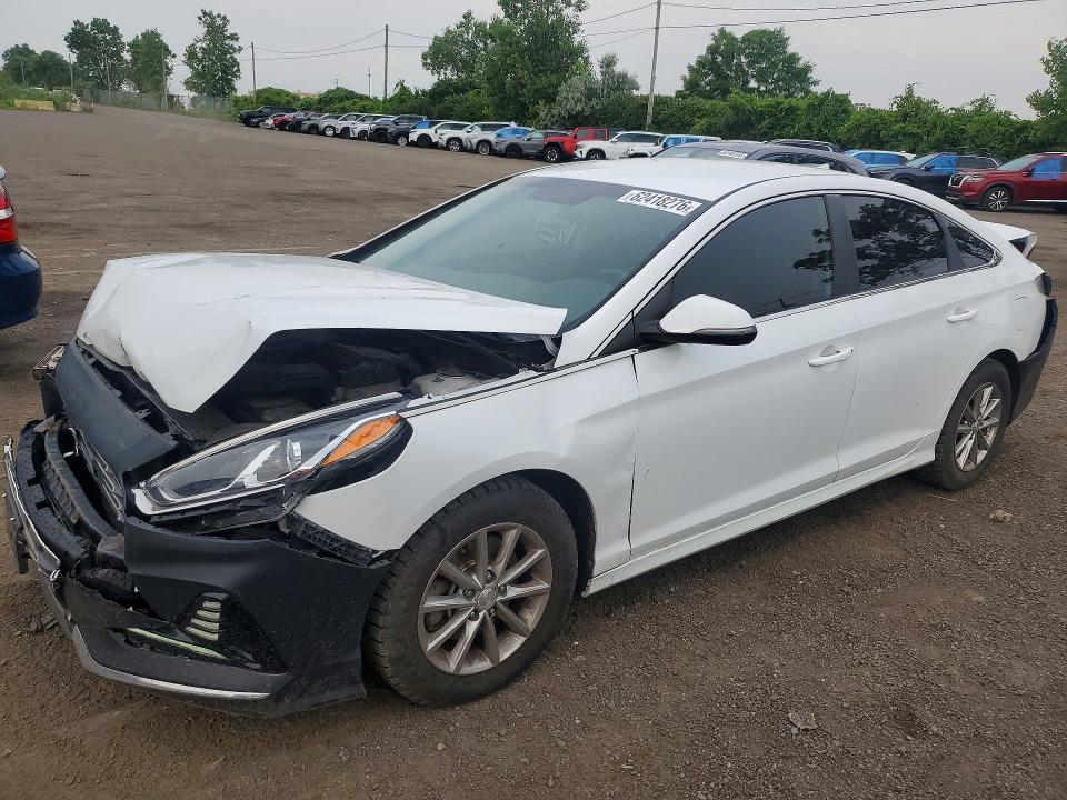 Продажа на аукционе авто 2019 Hyundai Sonata, vin: 5NPE24AF5KH802639, номер лота: 62418276