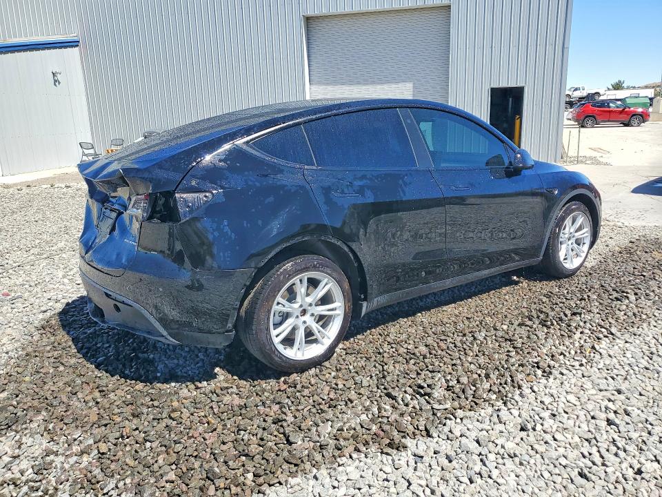 Продаж на аукціоні авто 2023 Tesla Model Y, vin: 7SAYGDEE1PA066496, номер лоту: 62700536