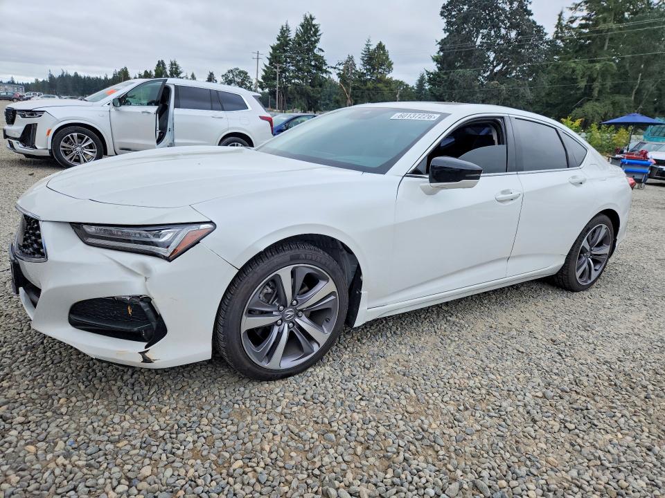 60137226 :رقم المزاد ، 19UUB5F64MA011864 vin ، 2021 Acura Tlx مزاد بيع