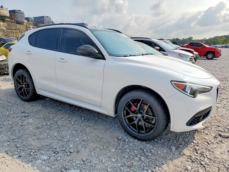 Продаж на аукціоні авто 2020 Alfa Romeo Stelvio, vin: ZASPAKAN7L7C74672, номер лоту: 62808076