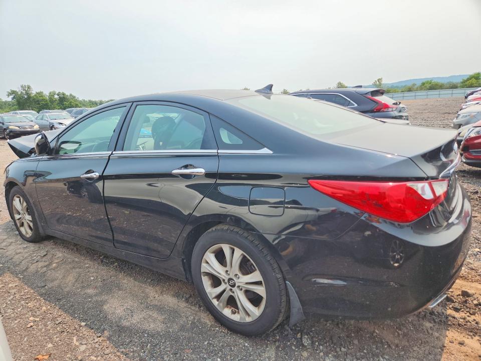 2011 Hyundai Sonata მანქანა იყიდება აუქციონზე, vin: 5NPEC4AB5BH300451, აუქციონის ნომერი: 60703856
