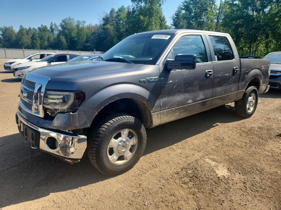 2010 Ford F150 მანქანა იყიდება აუქციონზე, vin: 1FTFW1EV4AFD27647, აუქციონის ნომერი: 60608286