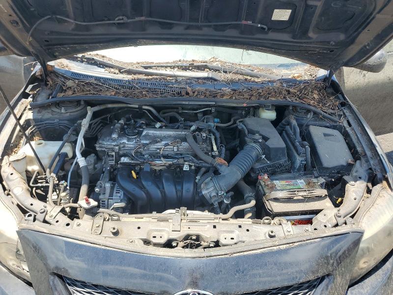 2009 Toyota Corolla მანქანა იყიდება აუქციონზე, vin: JTDBL40E99J032536, აუქციონის ნომერი: 60634806