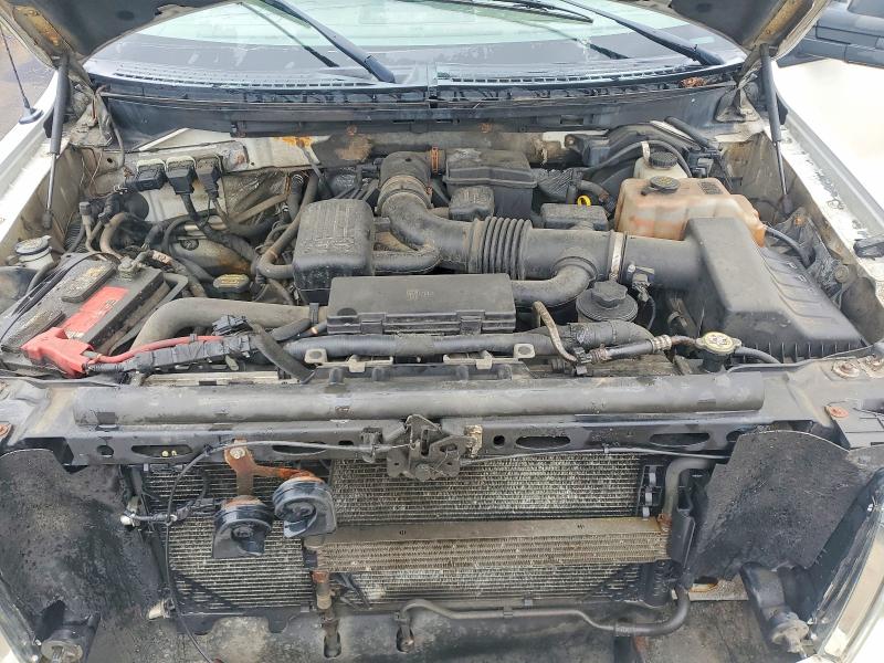 Auction sale of the 2010 Ford F150, vin: 1FTNF1EVXAKC31699, lot number: 61165496