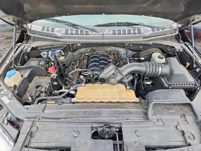 Auction sale of the 2019 Ford F150, vin: 1FTEW1C51KFA64775, lot number: 60595136