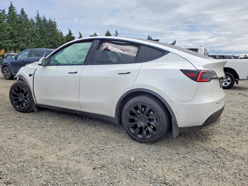 59297956 :رقم المزاد ، 5YJYGDEE9MF098009 vin ، 2021 Tesla Model  Y مزاد بيع