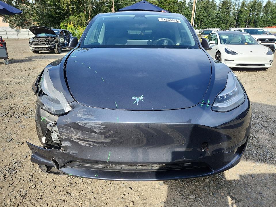 Продаж на аукціоні авто 2021 Tesla Model Y, vin: 5YJYGAEE0MF146298, номер лоту: 61553676