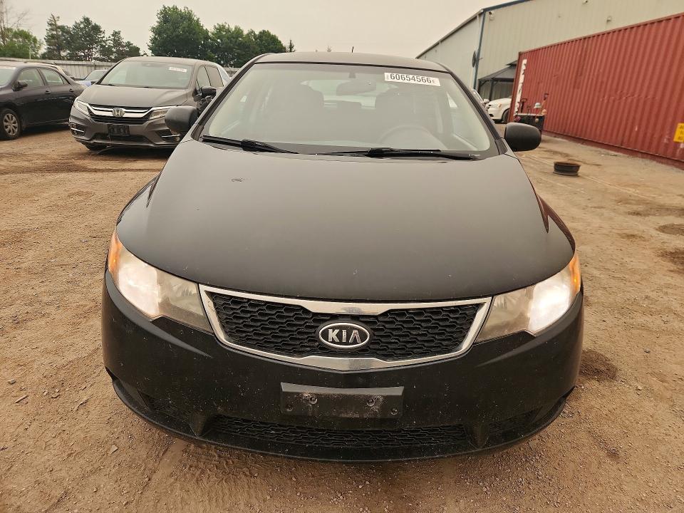 Продаж на аукціоні авто 2013 Kia Forte, vin: KNAFT5A29D5670232, номер лоту: 60654566