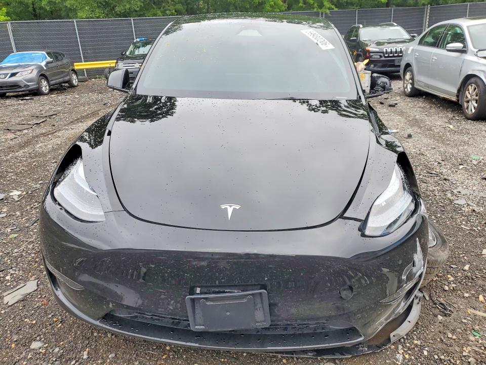 Продаж на аукціоні авто 2025 Tesla Model  Y, vin: 7SAYGDED0SA375490, номер лоту: 59980206