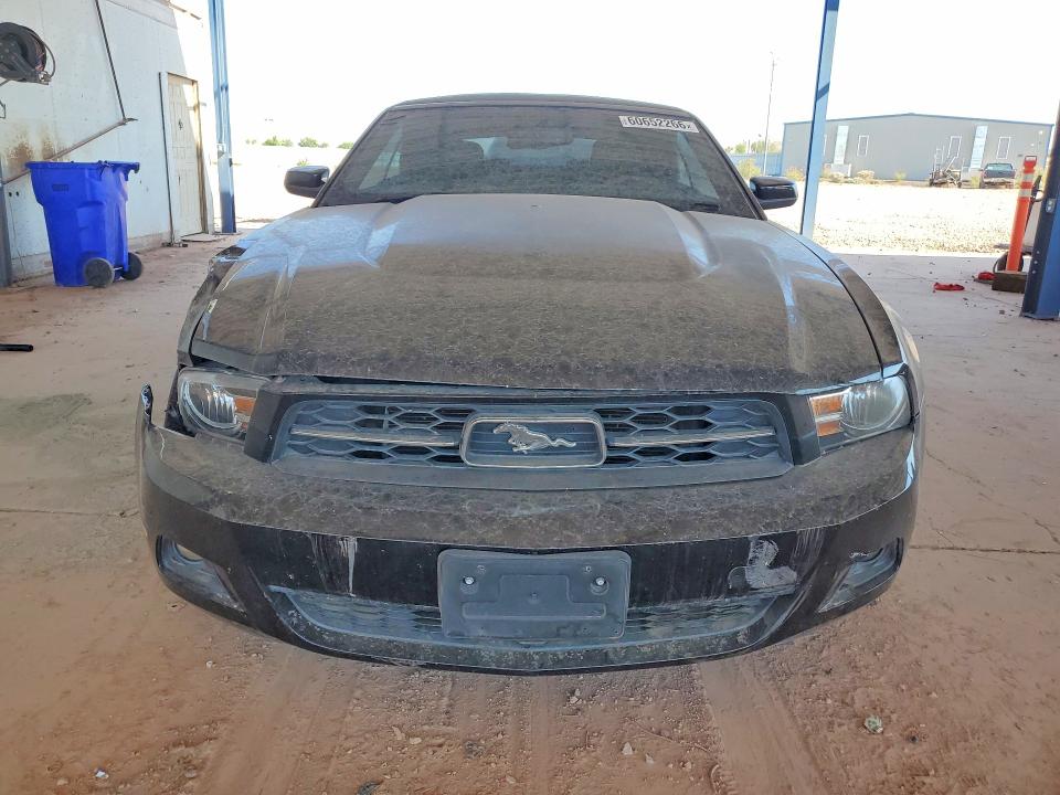 Продажа на аукционе авто 2010 Ford Mustang, vin: 1ZVBP8EN5A5123995, номер лота: 60652266