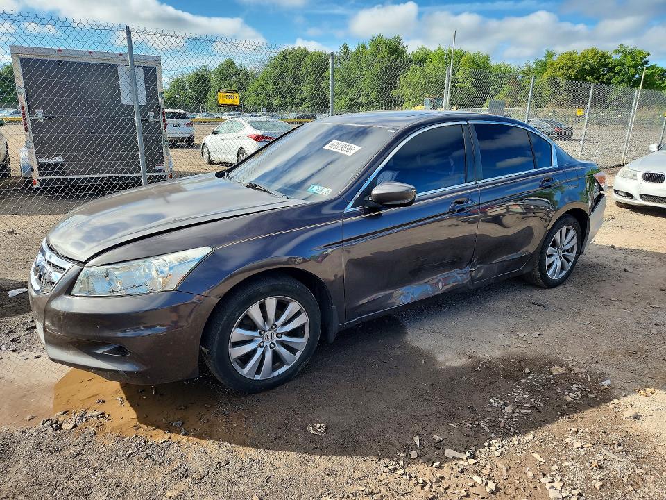 Продаж на аукціоні авто 2011 Honda Accord, vin: 1HGCP2F76BA030563, номер лоту: 60029896