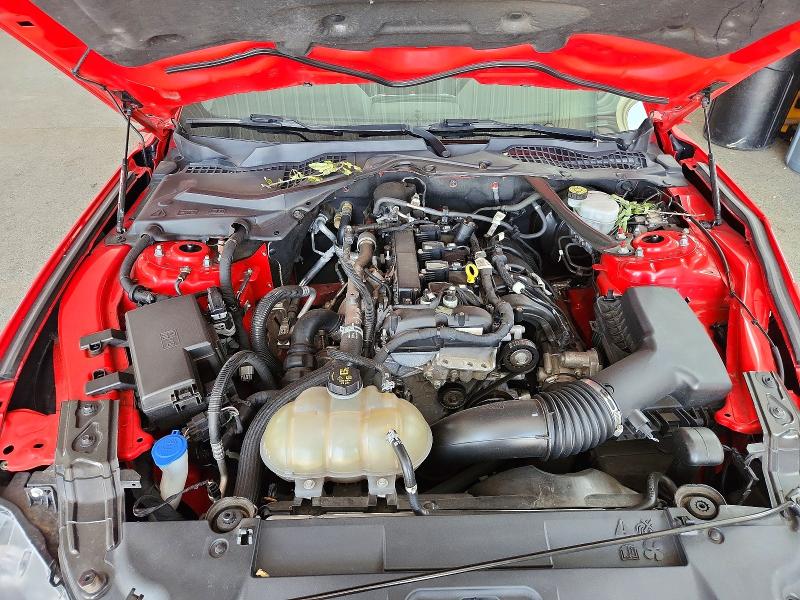 Продажа на аукционе авто 2021 Ford Mustang, vin: 1FATP8UH1M5105748, номер лота: 59644346