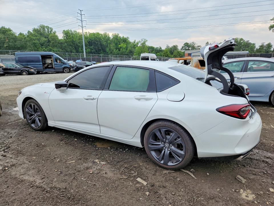 Auction sale of the 2023 Acura Tlx, vin: 19UUB6F51PA005831, lot number: 60762586