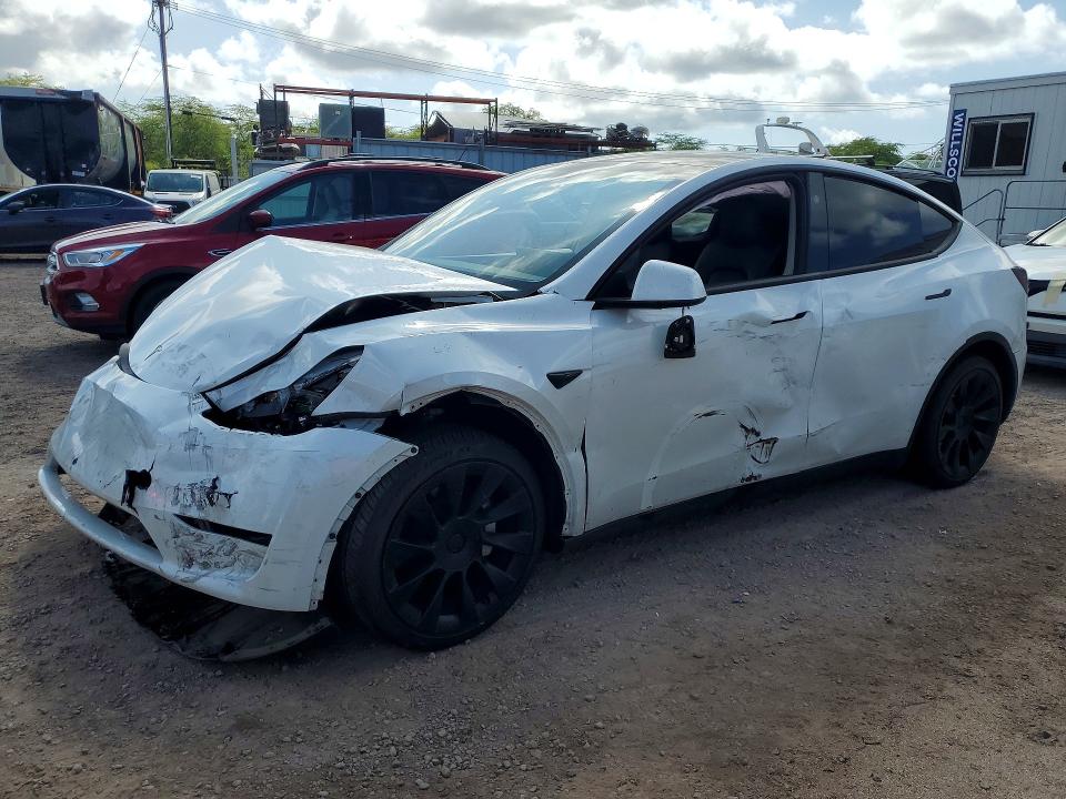 Продажа на аукционе авто 2024 Tesla Model Y, vin: 7SAYGDED0RF102563, номер лота: 61808396