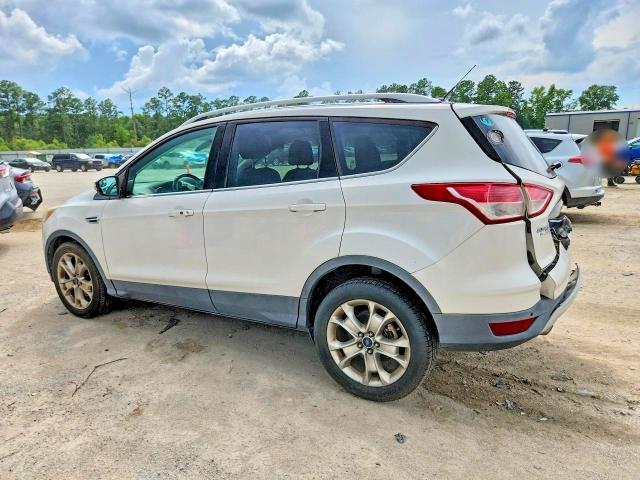 2014 Ford Escape მანქანა იყიდება აუქციონზე, vin: 1FMCU0J95EUD70242, აუქციონის ნომერი: 61190666