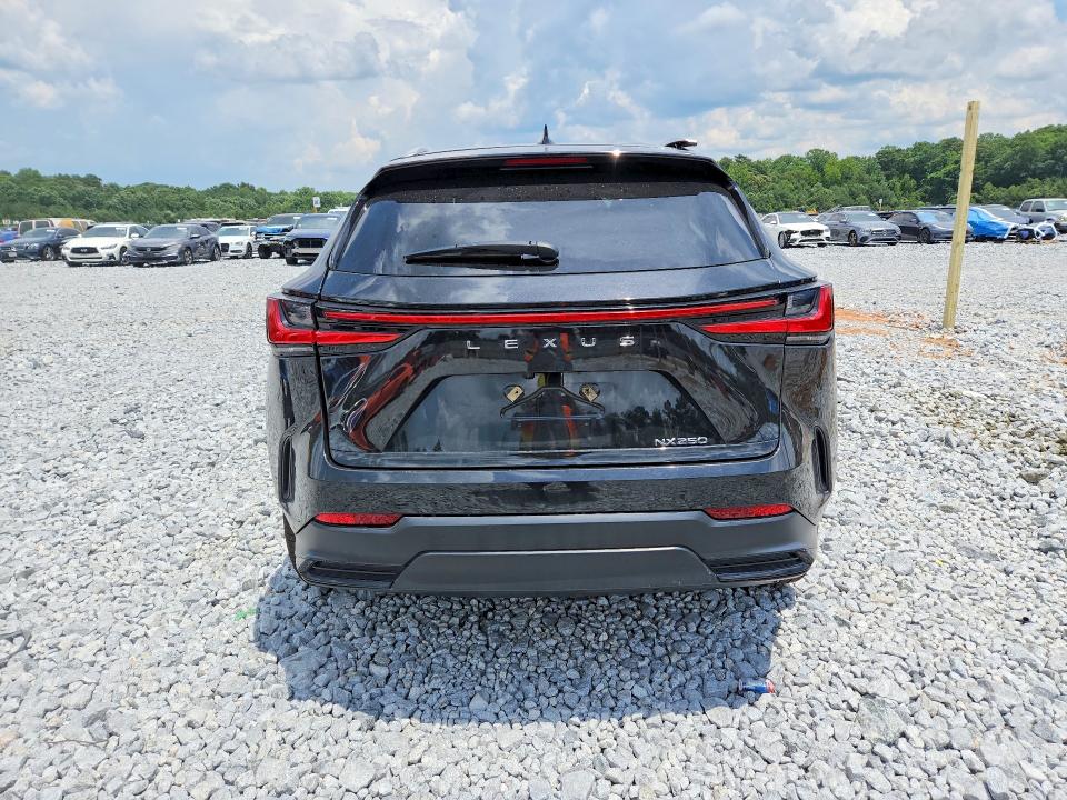 Продажа на аукционе авто 2024 Lexus Nx, vin: 2T2GDCAZ9RC013524, номер лота: 60615476