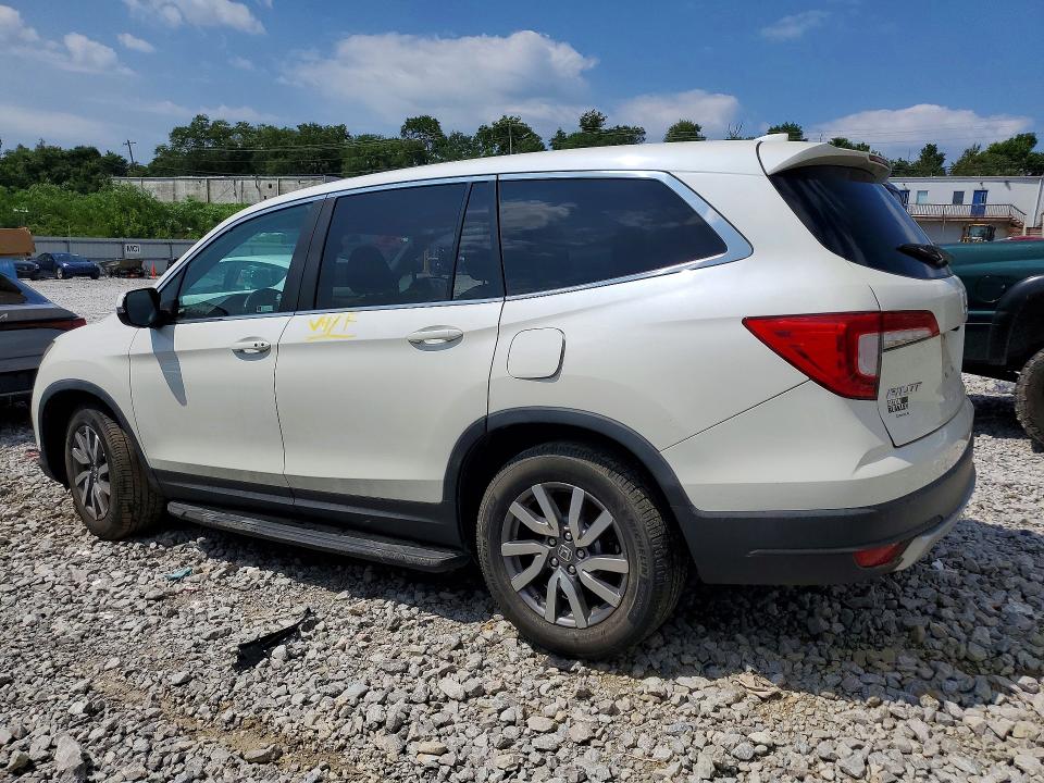 62220416 :رقم المزاد ، 5FNYF5H36KB025566 vin ، 2019 Honda Pilot مزاد بيع