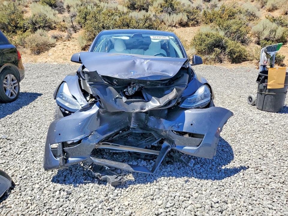 Продаж на аукціоні авто 2023 Tesla Model Y, vin: 7SAYGDEE4PF591541, номер лоту: 62792506