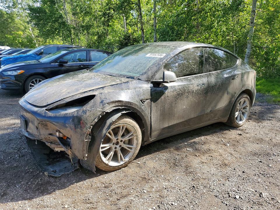 Продажа на аукционе авто 2022 Tesla Model Y, vin: 7SAYGDEE8NF565523, номер лота: 59582586