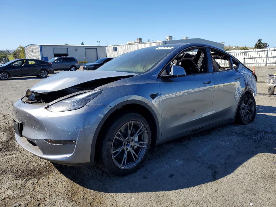 Продажа на аукционе авто 2024 Tesla Model Y, vin: 7SAYGDEE4RF125868, номер лота: 61353846