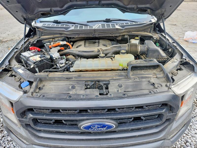 Продаж на аукціоні авто 2021 Ford F150, vin: 1FTFW1CD4MFD03489, номер лоту: 61239186