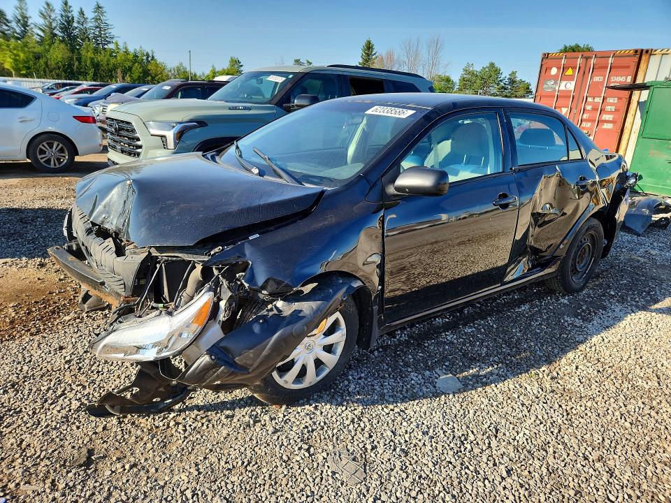 2009 Toyota Corolla მანქანა იყიდება აუქციონზე, vin: 2T1BU40EX9C110556, აუქციონის ნომერი: 62338586