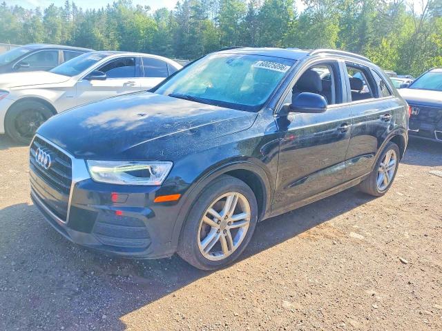 Продаж на аукціоні авто 2017 Audi Q3, vin: WA1ECCFS2HR004348, номер лоту: 60025096