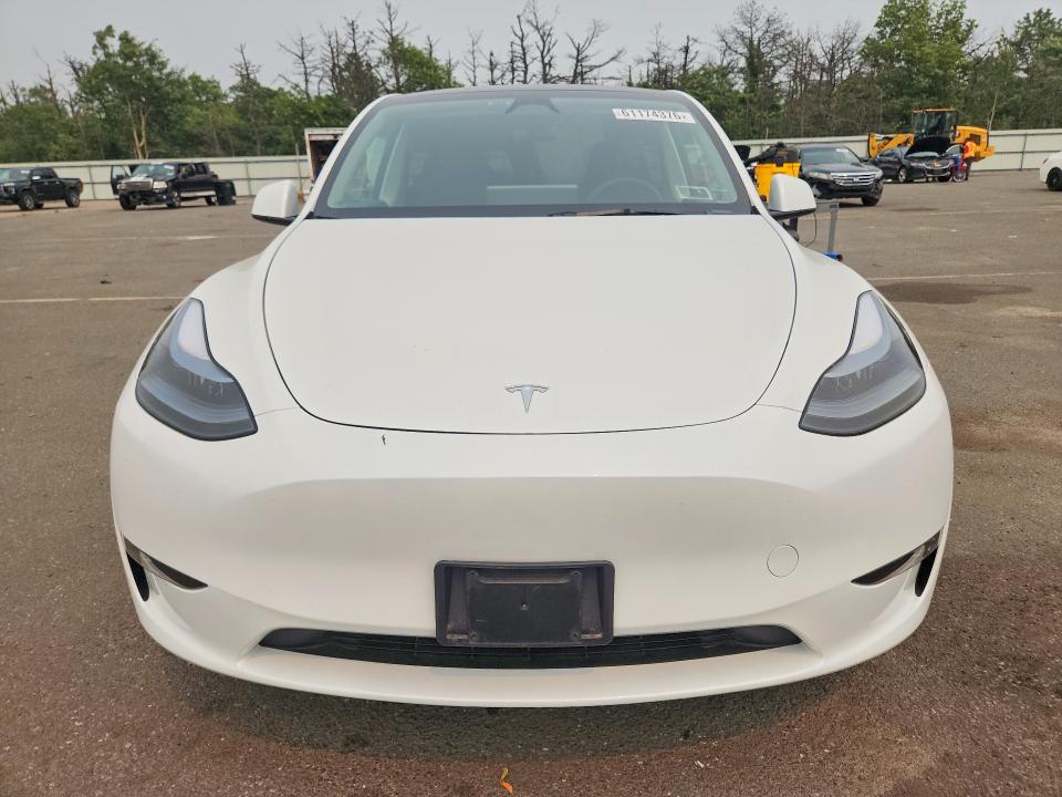 Aukcja sprzedaży 2024 Tesla Model Y, vin: 7SAYGDEE9RF185421, numer aukcji: 61174376