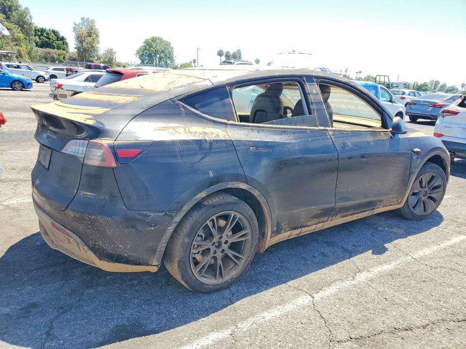 Продаж на аукціоні авто 2024 Tesla Model Y, vin: 7SAYGDED2RF166149, номер лоту: 62712826
