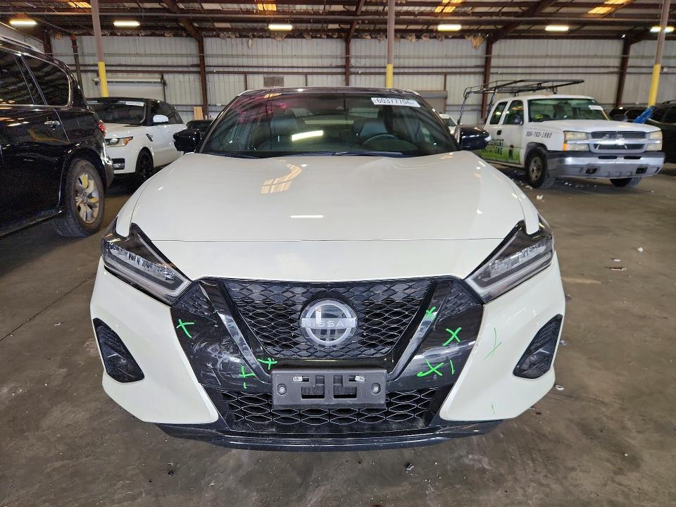 Auction sale of the 2023 Nissan Maxima, vin: 1N4AA6EV0PC513076, lot number: 60377706