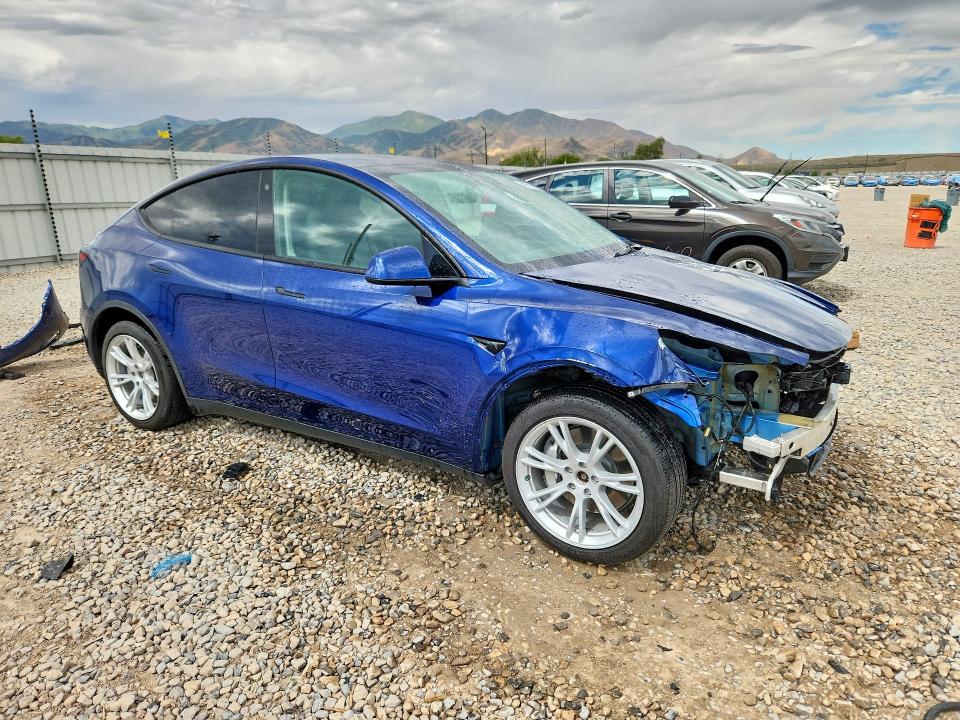 59718566 :رقم المزاد ، 5YJYGDEE2MF161502 vin ، 2021 Tesla Model Y مزاد بيع