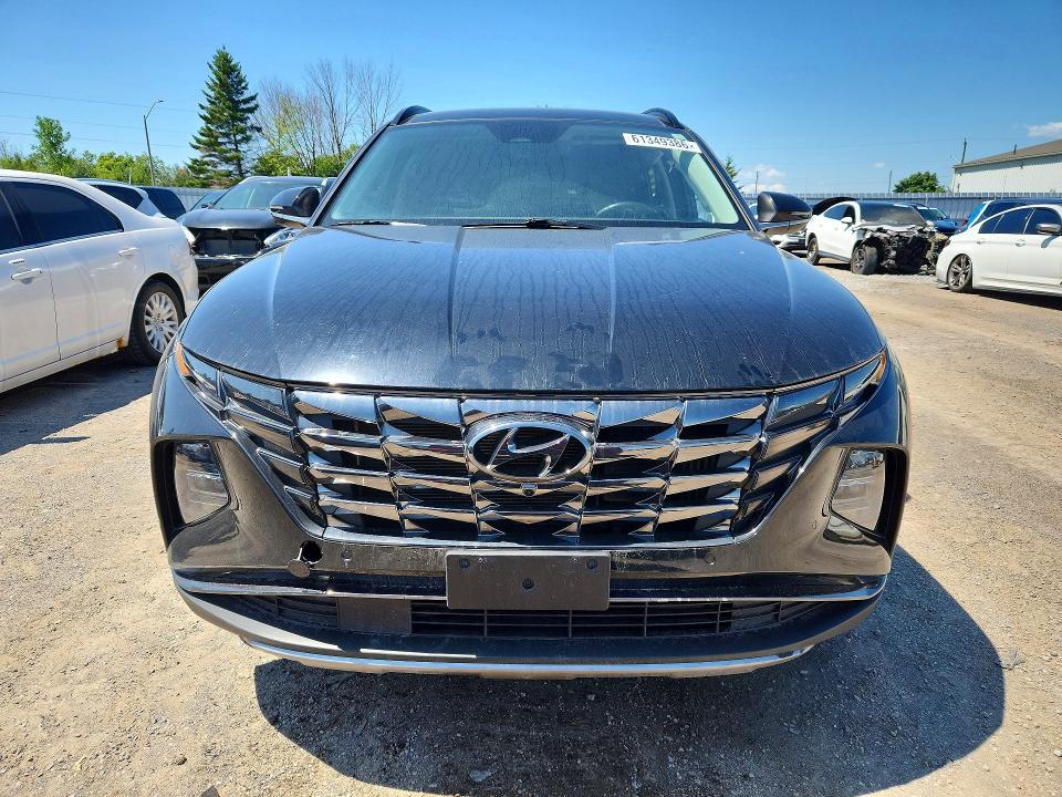 61349386 :رقم المزاد ، KM8JCCA13PU132219 vin ، 2023 Hyundai Tucson مزاد بيع
