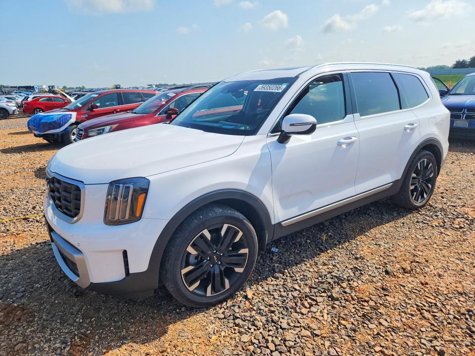Продаж на аукціоні авто 2024 Kia Telluride, vin: 5XYP5DGC6RG493021, номер лоту: 59350266