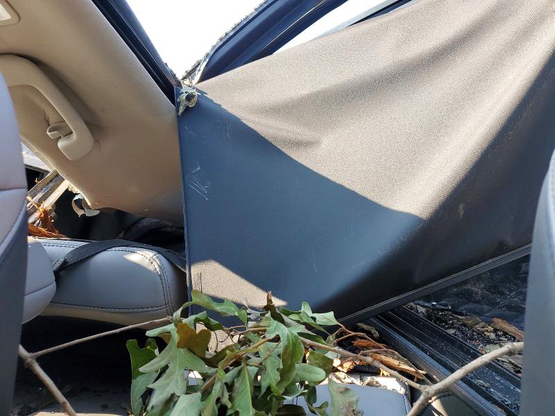 Aukcja sprzedaży 2025 Honda Pilot, vin: 5FNYG2H79SB039881, numer aukcji: 62964546