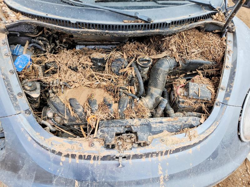 61625976 :رقم المزاد ، 3VWPF31Y66M300339 vin ، 2006 Volkswagen New Beetle مزاد بيع