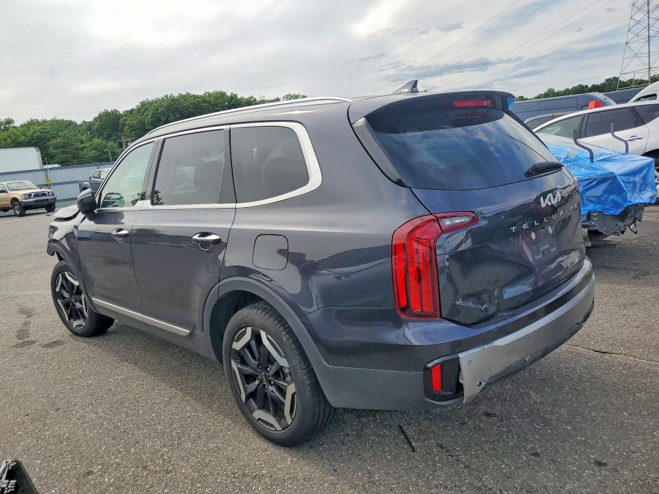 Aukcja sprzedaży 2025 Kia Telluride, vin: 5XYP6DGC2SG591496, numer aukcji: 62245066