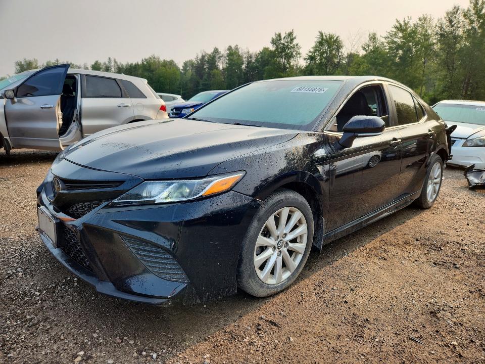 60155876 :رقم المزاد ، 4T1B11HK6KU227556 vin ، 2019 Toyota Camry مزاد بيع