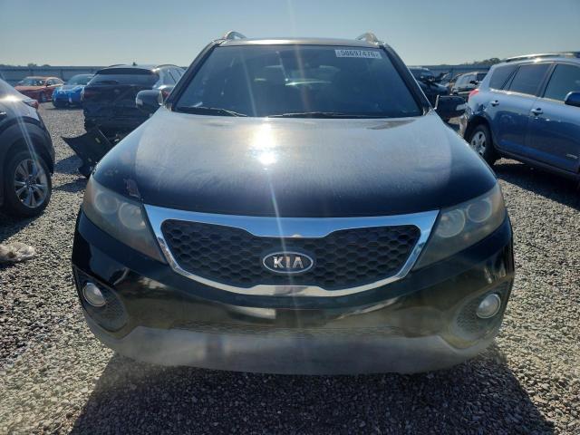 Продаж на аукціоні авто 2011 Kia Sorento, vin: 5XYKUDA2XBG135004, номер лоту: 58697476