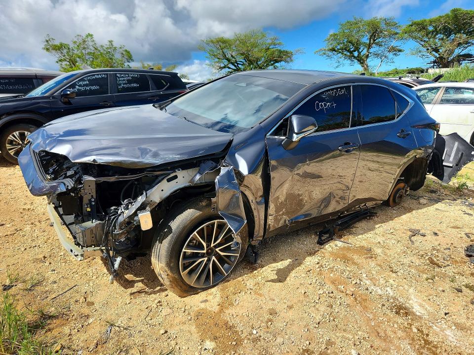 2024 Lexus Nx მანქანა იყიდება აუქციონზე, vin: JTJGDCAZ8R2010534, აუქციონის ნომერი: 61400216