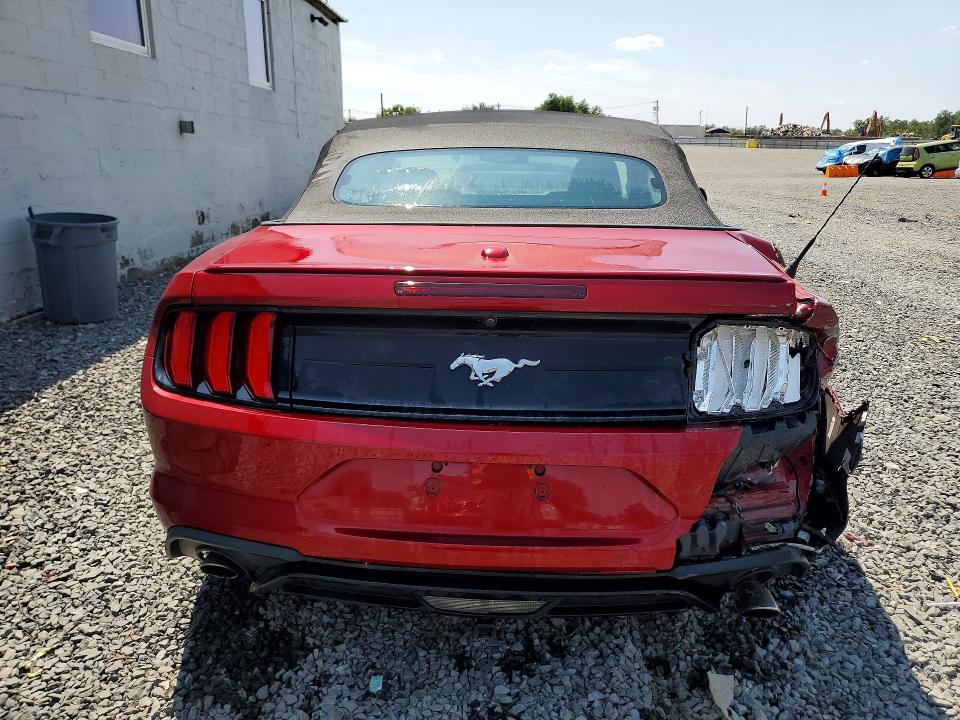 62043446 :رقم المزاد ، 1FATP8UH3K5116263 vin ، 2019 Ford Mustang مزاد بيع