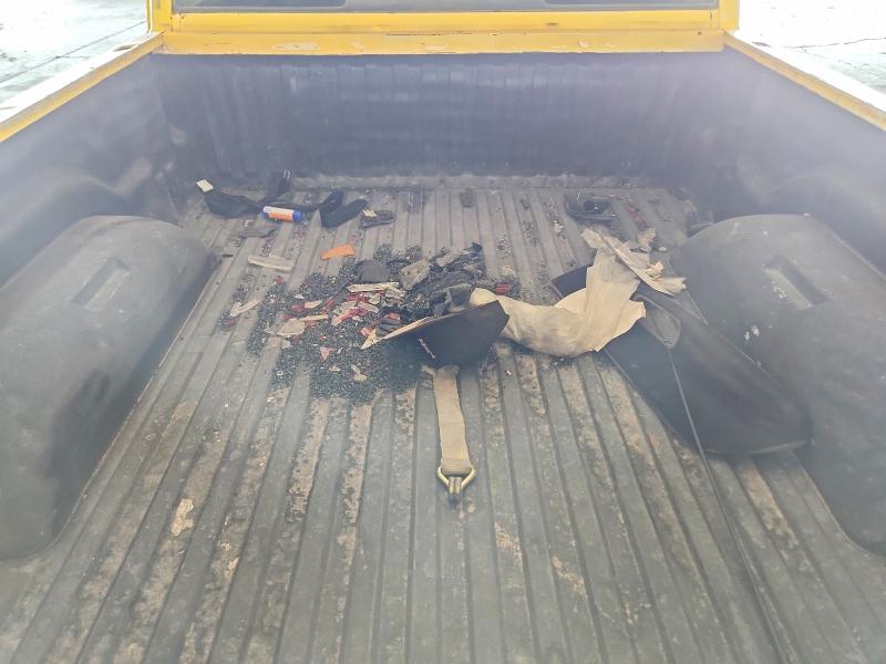 Продаж на аукціоні авто 1995 Dodge Ram 1500, vin: 1B7HF16Y0SS336808, номер лоту: 62469466