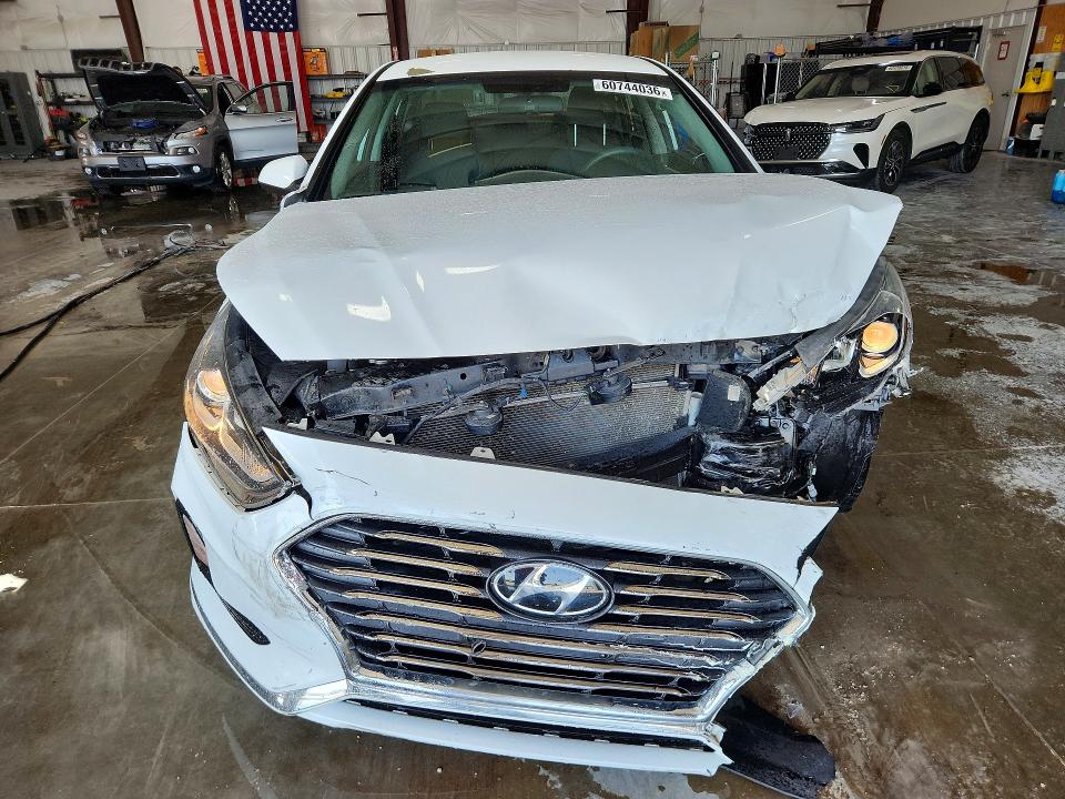 Продажа на аукционе авто 2019 Hyundai Sonata, vin: 5NPE24AF1KH806641, номер лота: 60744036