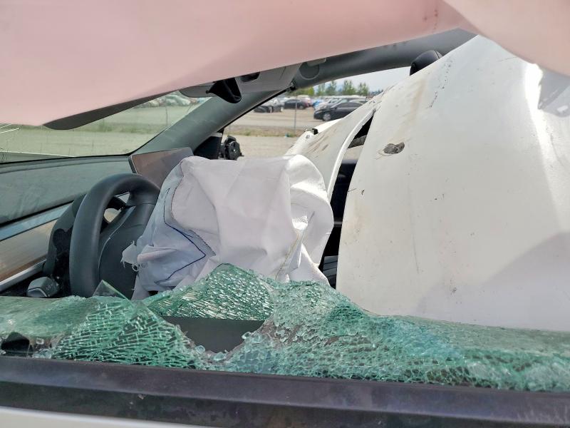 Aukcja sprzedaży 2025 Tesla Model Y, vin: 7SAYGDEE8SF215952, numer aukcji: 61781456