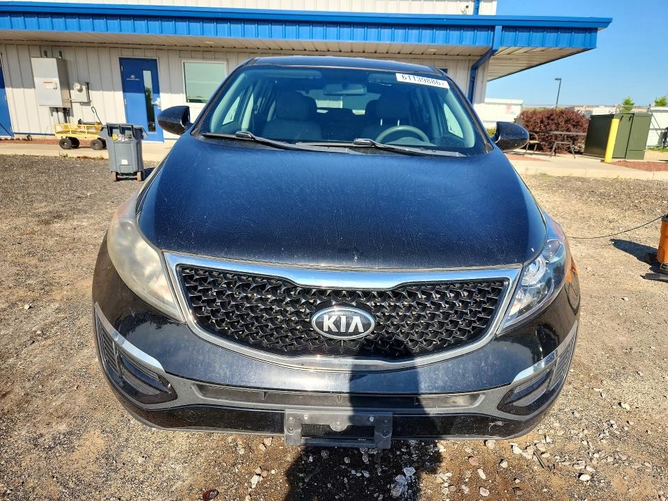 Продаж на аукціоні авто 2015 Kia Sportage, vin: KNDPBCAC8F7739068, номер лоту: 61139886