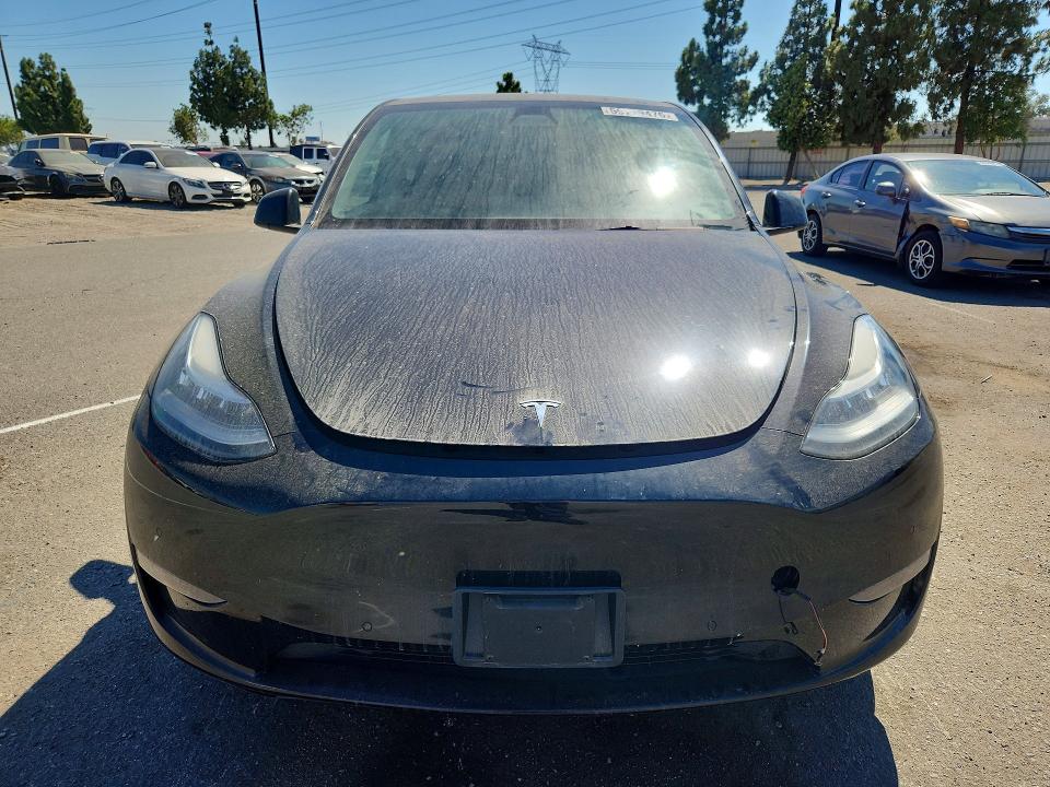 59719476 :رقم المزاد ، 5YJYGAED5MF136292 vin ، 2021 Tesla Model Y مزاد بيع
