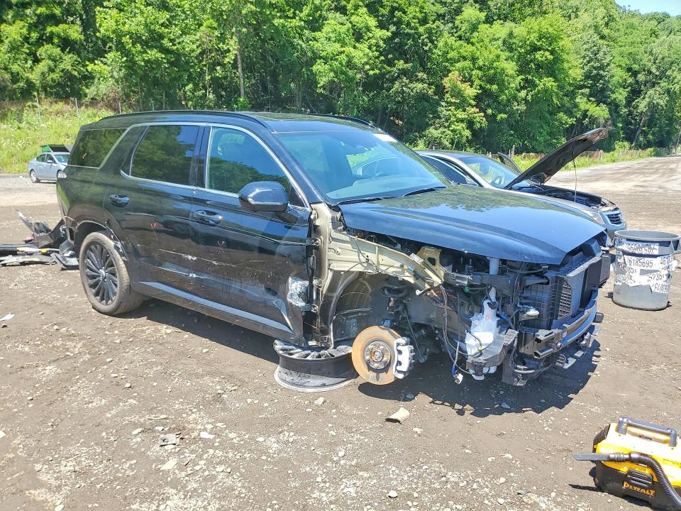 Aukcja sprzedaży 2025 Hyundai Palisade, vin: KM8R7DGE2SU925978, numer aukcji: 60299246