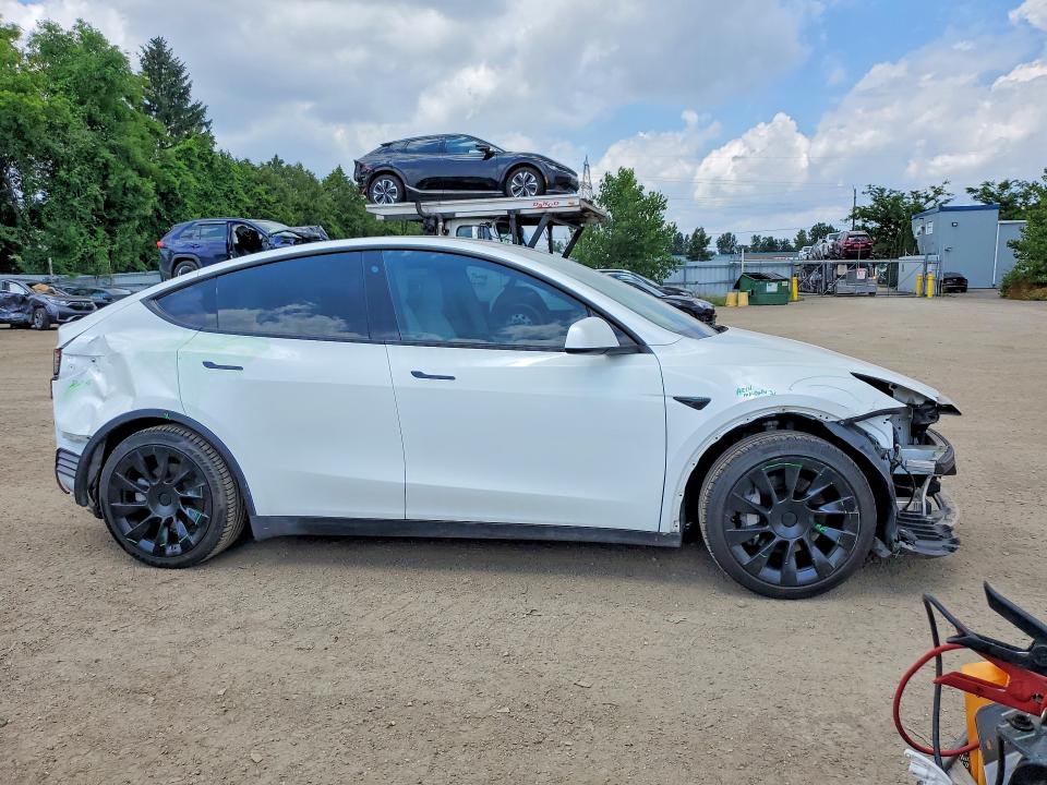 60137526 :رقم المزاد ، 5YJYGDED3MF114146 vin ، 2021 Tesla Model Y مزاد بيع