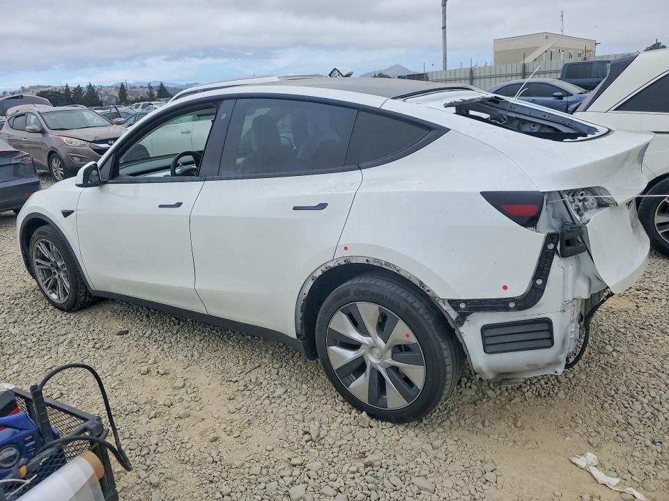 Aukcja sprzedaży 2021 Tesla Model Y, vin: 5YJYGDEE3MF279011, numer aukcji: 59394486