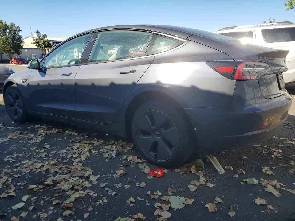 Продаж на аукціоні авто 2023 Tesla Model 3, vin: 5YJ3E1EA6PF419259, номер лоту: 59258206